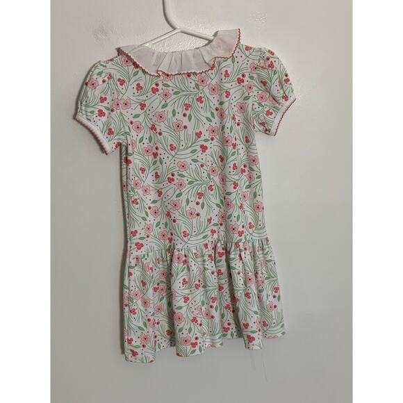Marco & Lizzy Cherry Blossoms Girl's Dropped Waist Dress NWT size 4T - Picture 5 of 5